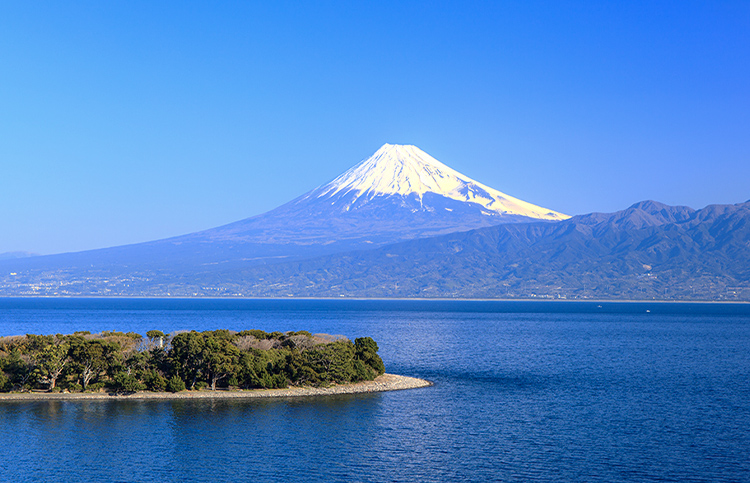 地域社会と共に発展